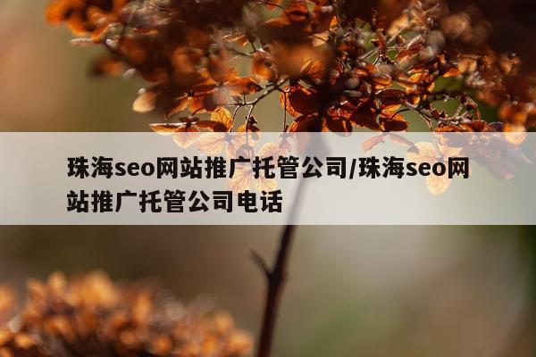 珠海seo网站推广托管公司/珠海seo网站推广托管公司电话