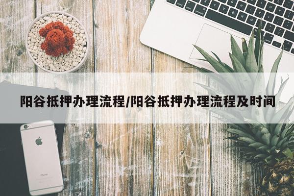 阳谷抵押办理流程/阳谷抵押办理流程及时间