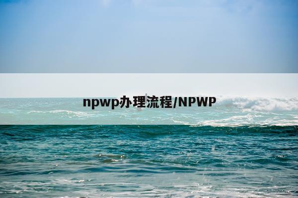 npwp办理流程/NPWP