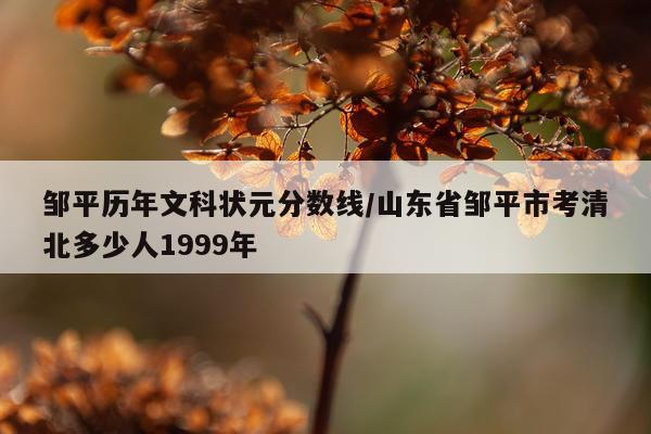邹平历年文科状元分数线/山东省邹平市考清北多少人1999年