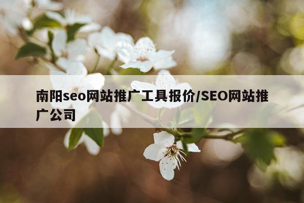 南阳seo网站推广工具报价/SEO网站推广公司