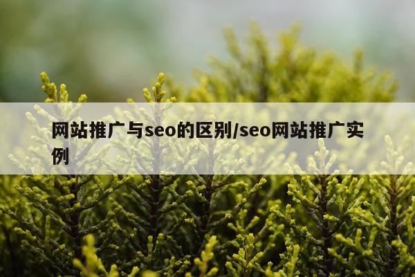 网站推广与seo的区别/seo网站推广实例