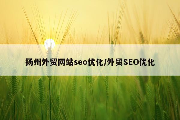 扬州外贸网站seo优化/外贸SEO优化