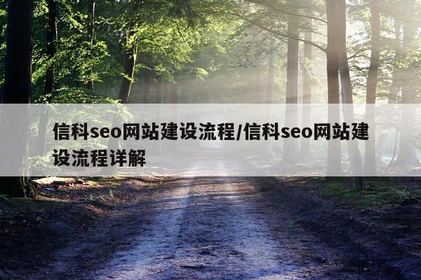 信科seo网站建设流程/信科seo网站建设流程详解