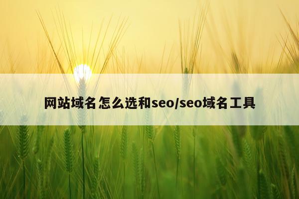 网站域名怎么选和seo/seo域名工具