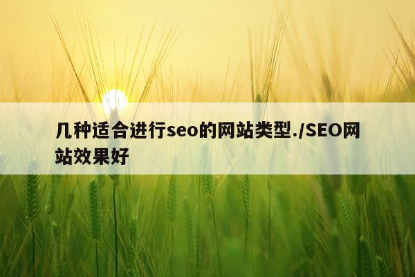 几种适合进行seo的网站类型./SEO网站效果好
