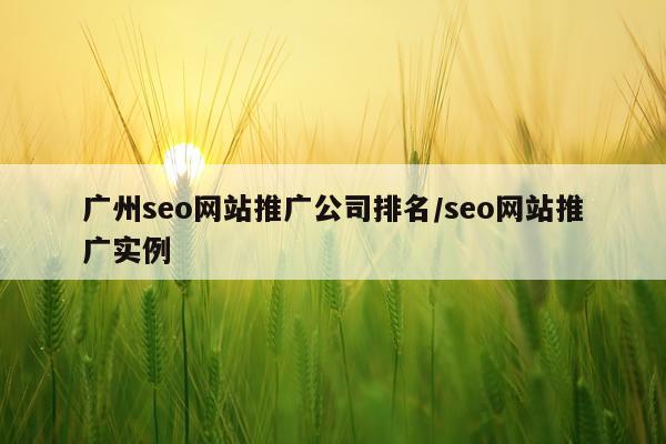 广州seo网站推广公司排名/seo网站推广实例