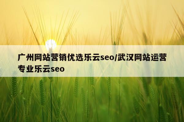广州网站营销优选乐云seo/武汉网站运营专业乐云seo