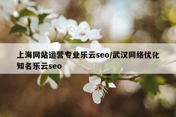 上海网站运营专业乐云seo/武汉网络优化知名乐云seo
