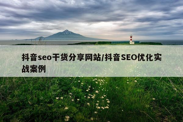 抖音seo干货分享网站/抖音SEO优化实战案例