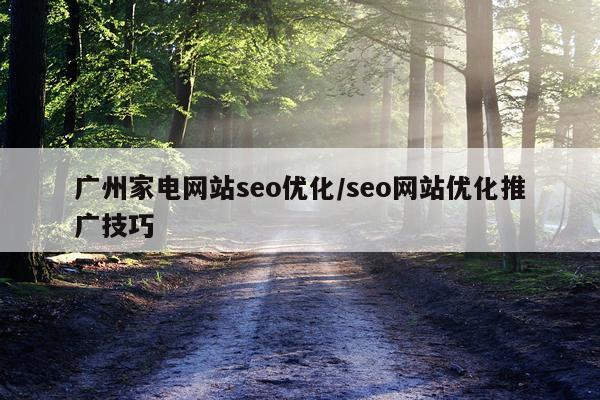 广州家电网站seo优化/seo网站优化推广技巧
