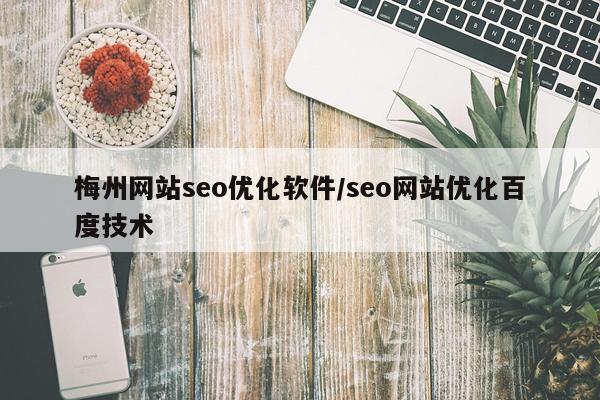 梅州网站seo优化软件/seo网站优化百度技术
