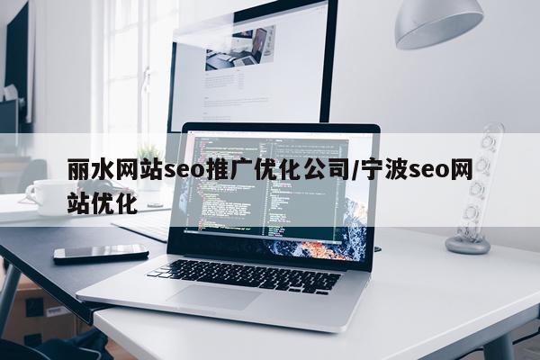 丽水网站seo推广优化公司/宁波seo网站优化