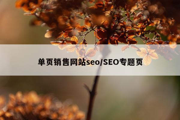 单页销售网站seo/SEO专题页