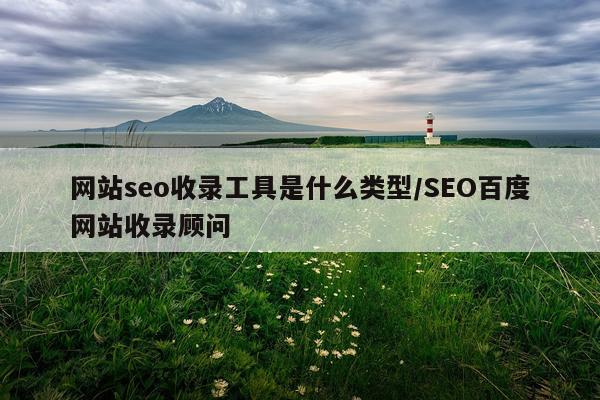 网站seo收录工具是什么类型/SEO百度网站收录顾问
