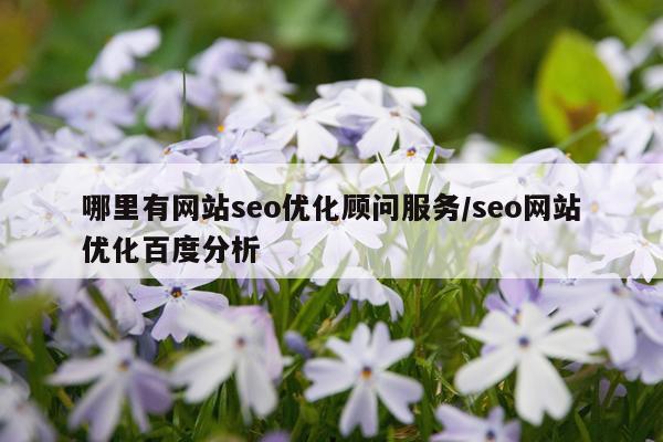 哪里有网站seo优化顾问服务/seo网站优化百度分析