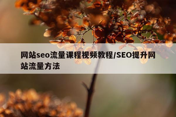 网站seo流量课程视频教程/SEO提升网站流量方法