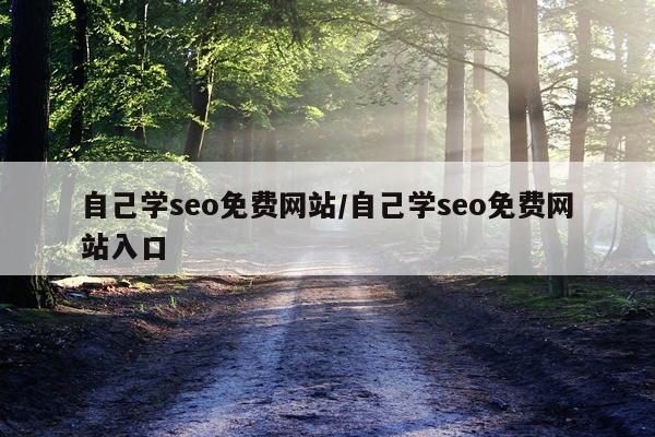 自己学seo免费网站/自己学seo免费网站入口