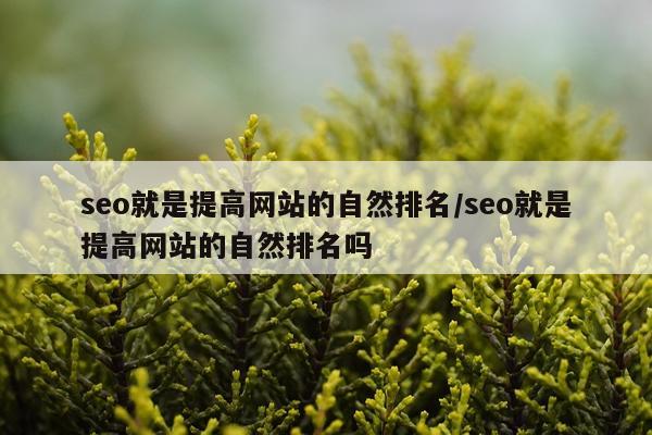 seo就是提高网站的自然排名/seo就是提高网站的自然排名吗