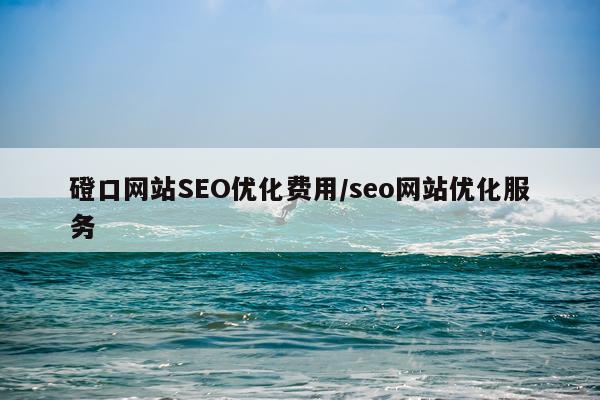 磴口网站SEO优化费用/seo网站优化服务