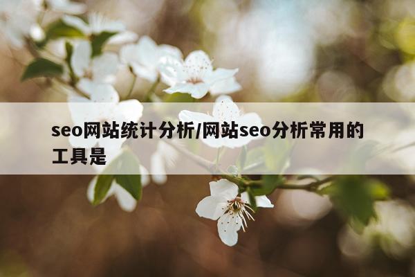 seo网站统计分析/网站seo分析常用的工具是
