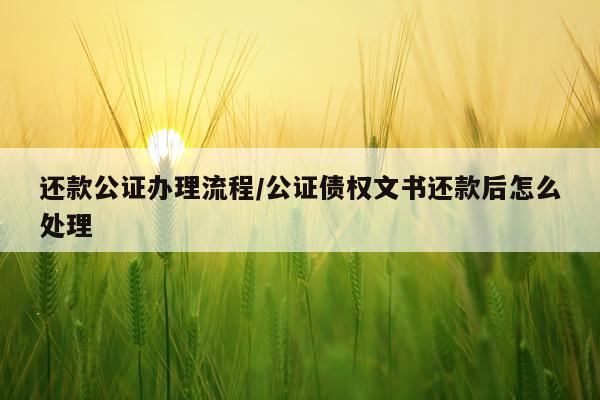 还款公证办理流程/公证债权文书还款后怎么处理
