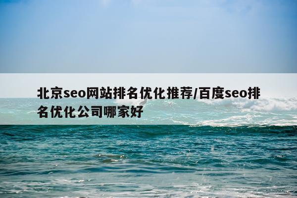 北京seo网站排名优化推荐/百度seo排名优化公司哪家好