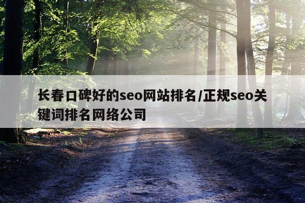 长春口碑好的seo网站排名/正规seo关键词排名网络公司