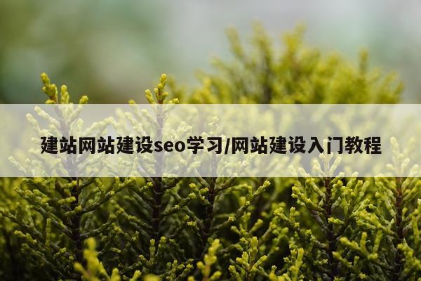 建站网站建设seo学习/网站建设入门教程