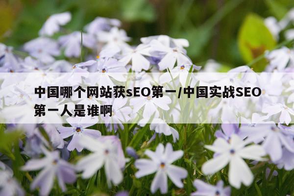 中国哪个网站获sEO第一/中国实战SEO第一人是谁啊