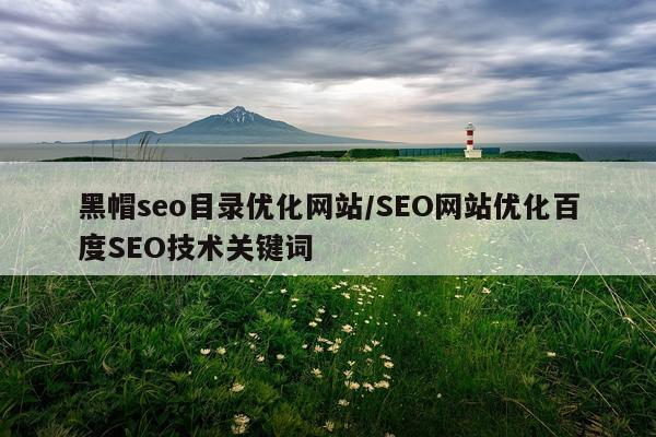 黑帽seo目录优化网站/SEO网站优化百度SEO技术关键词