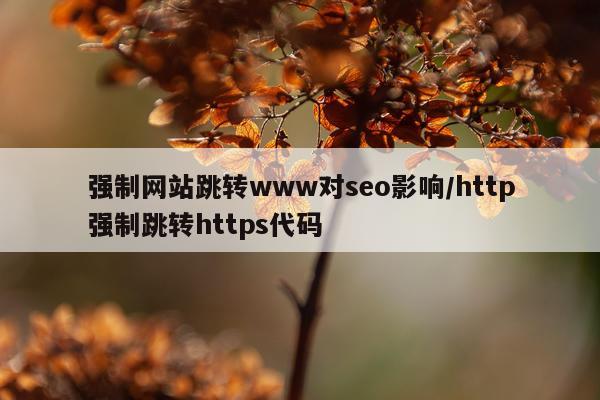 强制网站跳转www对seo影响/http强制跳转https代码