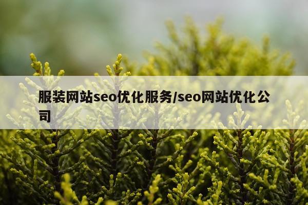服装网站seo优化服务/seo网站优化公司