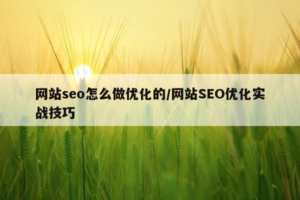 网站seo怎么做优化的/网站SEO优化实战技巧