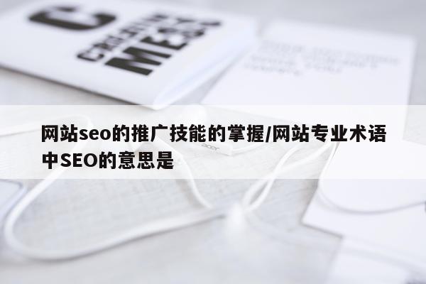 网站seo的推广技能的掌握/网站专业术语中SEO的意思是