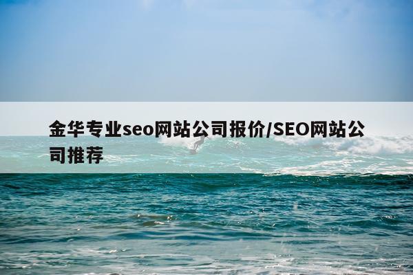金华专业seo网站公司报价/SEO网站公司推荐