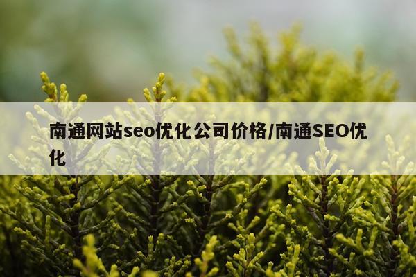 南通网站seo优化公司价格/南通SEO优化