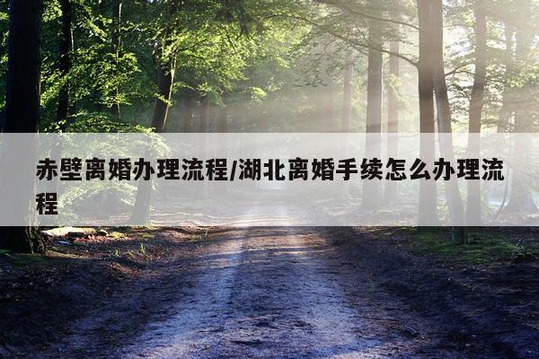 赤壁离婚办理流程/湖北离婚手续怎么办理流程
