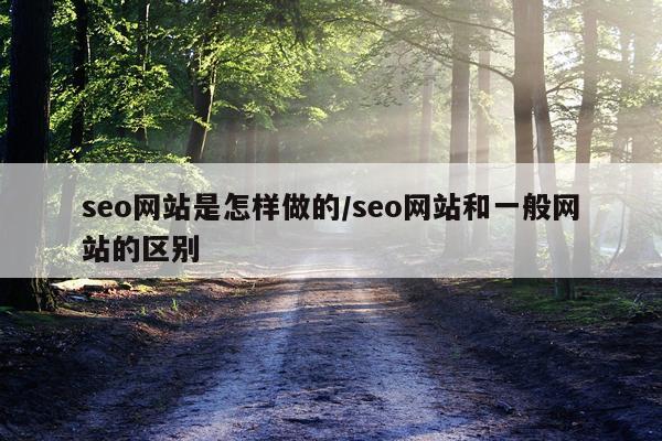 seo网站是怎样做的/seo网站和一般网站的区别