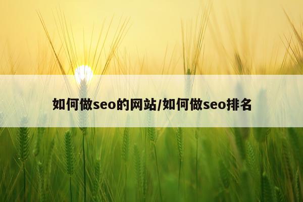 如何做seo的网站/如何做seo排名