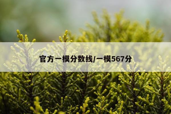 官方一模分数线/一模567分