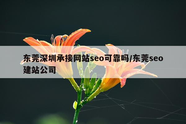 东莞深圳承接网站seo可靠吗/东莞seo建站公司
